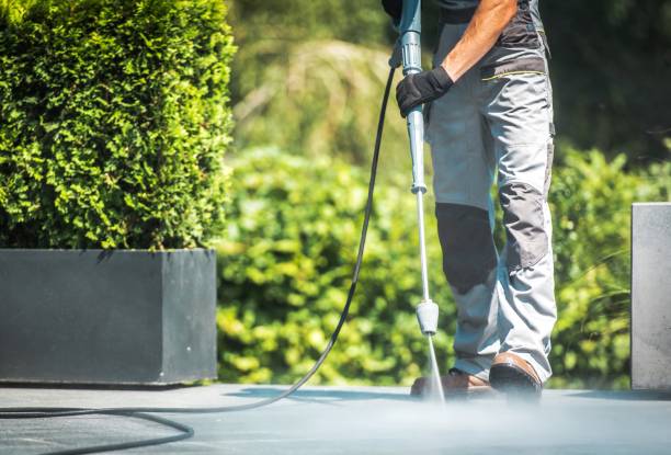 Best Dumpster Area Cleaning  in Preston, MN